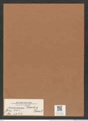 Coscinodiscus kochii Pant. (de-Toni-Nr.: Genus 202, Species 5122) Zeichnungen Sammlung Grunow Mappe 04893 (Herbarium_W_Grunow_drawings_Folder_04893)